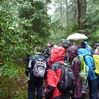 A very wet field trip to Newcastle Island 08 March 2014.